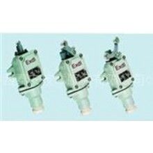 隔爆型行程開(kāi)關(guān)型號(hào):LQ84KBX-5