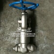 J61Y-2500LB 不銹鋼電站高溫高壓截止閥