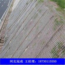  護坡網(wǎng)_生態(tài)護坡網(wǎng)_柔性護坡網(wǎng)生產(chǎn)廠家及規(guī)格